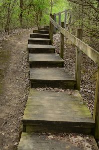 Setting and Achieving Goals